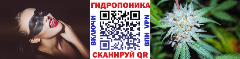 где купить наркотик  Псков  Канабис OG Kush 